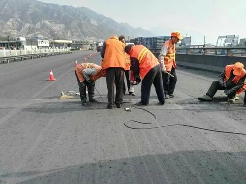 平桂道路桥梁病害治理